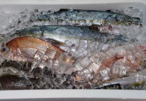魚介類を加熱または冷凍で管理するイメージ