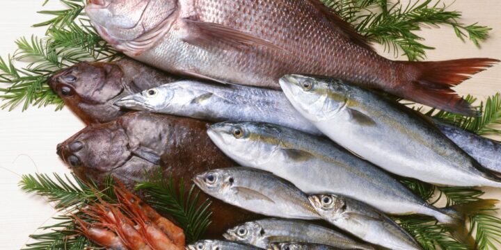 新鮮な魚を選ぶイメージ