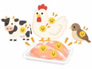カンピロバクターを保菌することがある動物と注意したい鶏肉のイラスト