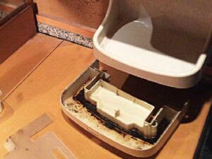 公共トイレのハンドドライヤーを清掃点検する施設スタッフ